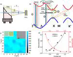 An Ultrafast Terahertz Probe of The Transient Evolution of The Charged and Neutral Phase of Photo-excited Electron-Hole Gas in Monolayer Semiconductor